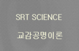 WHAT IS SRT 